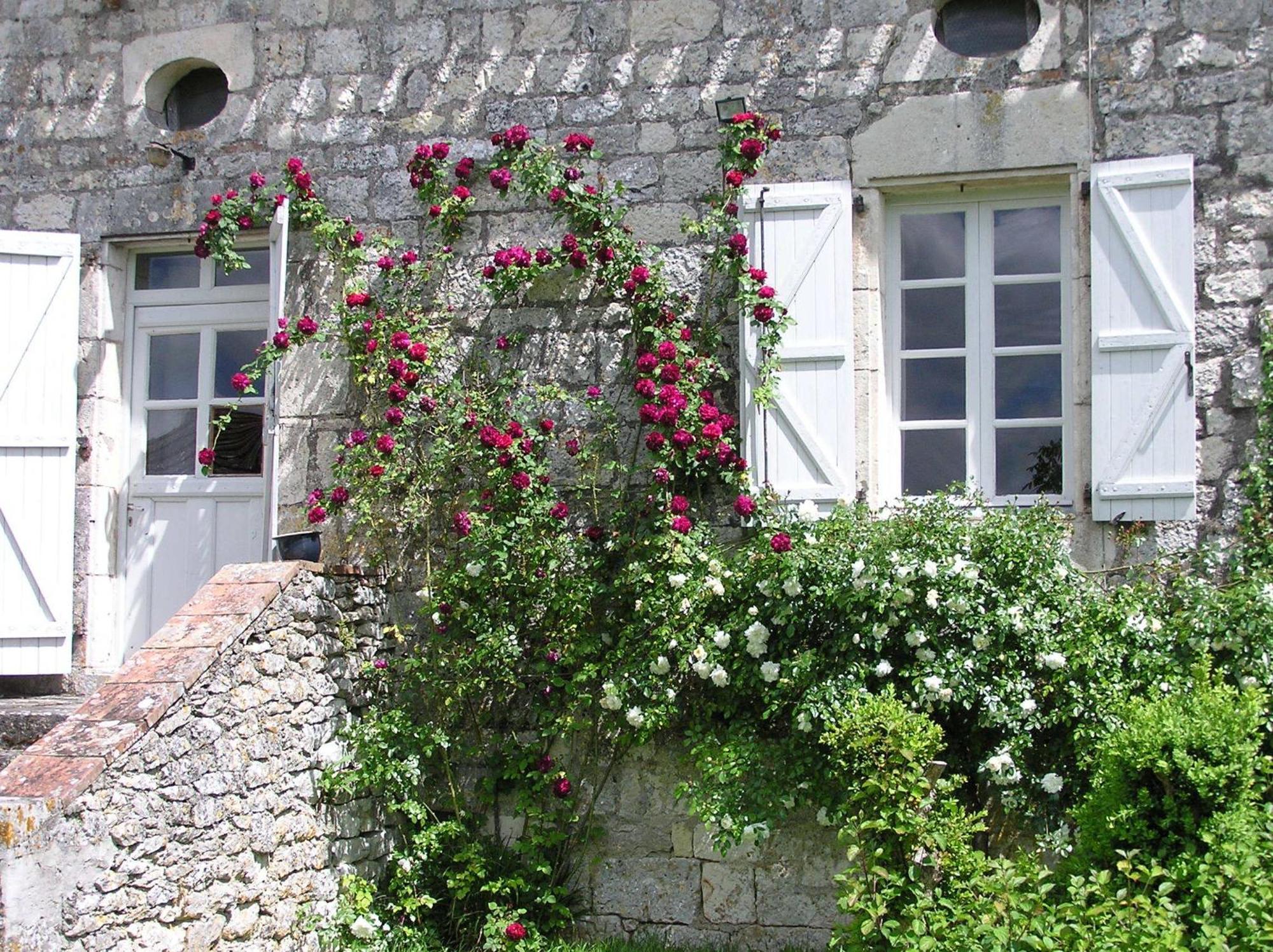 Domaine De L'Isle Basse Bed and Breakfast Fontanes  Værelse billede